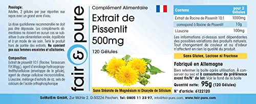 Löwenzahnwurzel Löwenzahn Extrakt 500mg, 120 Kapseln