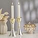Rite Lite Tree of Life™ Luxury Candlestick Set Beautiful Shabbat Candle holder 4