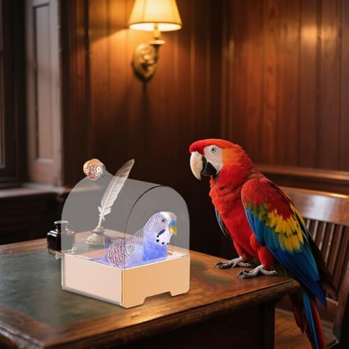 Banho Para Gaiola De Pássaros - Caixa De Banho Antiderrapante Para Pássaros | Design Raso Estável Pa