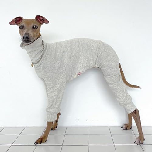 D DOGGY STAR C^O n p[X Ȃ ^ ^ ^ t H H ~ ؍ xhgeA EBybg (2XL, I[KjbN)
