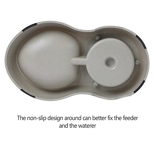 Nourse Chowsing Automatic Cat Feeders And Waterer Dispenser 1 Gallon Capacity In Sets Gravity Replenishes Food And Water Suitable For Pets Such As Cats And Dogs #TOP7