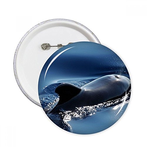 Badge Baleine Océan XL pour masquer un accroc ou personnaliser un vêtement triste en lot de 5