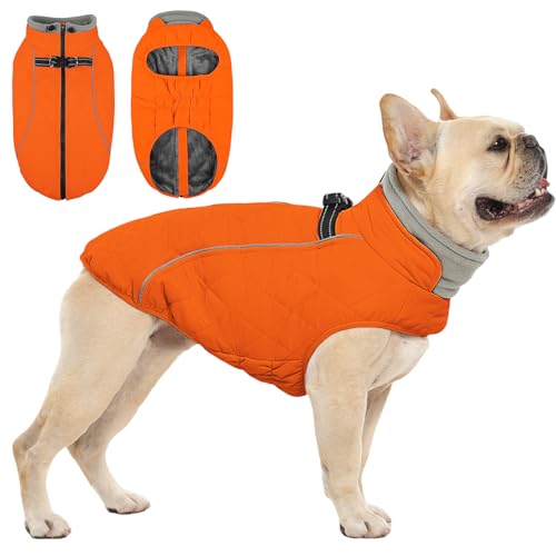 Manteau chien moyen QBLEEV polaire imperméable orange M