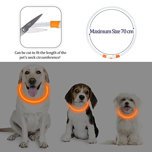 Coolzon LED Leuchthalsband Hundehalsband Aufladbar, Wasserdicht Halsband Hund 3 Modi Längenverstellbareres Super Helle Kalsband Katze und Hunde Klein Groß Mittel, Orange