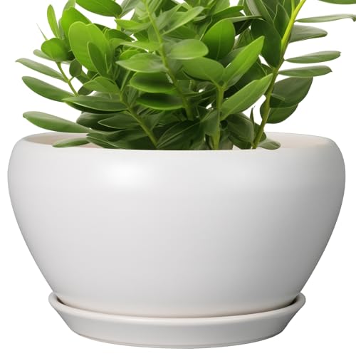 Ceramicfor Ceramic Planter for Indoor Plants 11 Inch, White