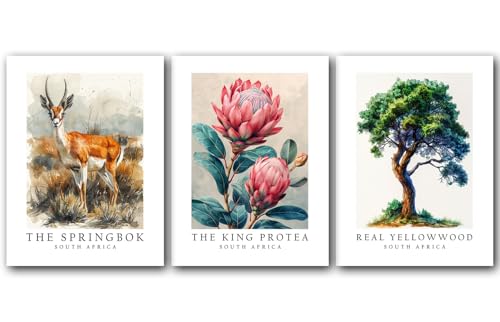 South Africa Symbols, The Springbok, King Protea Flower, Real Yellowwood Tree, 8 x 10 Inches, Set of 3 State Posters, Wall Art Décor