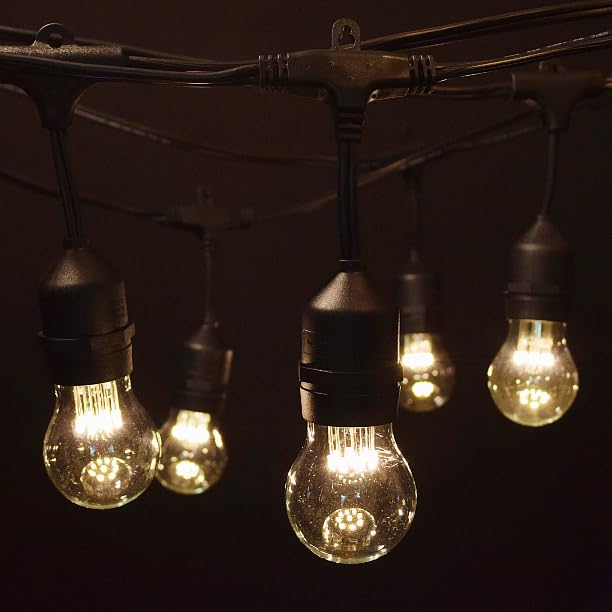 Hometown Evolution, Inc. E26 Outdoor Commercial String Lights with Suspended Socket for Weatherproof Heavy Duty Vintage Outside Lighting (100 Foot 50 Socket, A15 LED 9 Diode 1 Watt Bulbs)