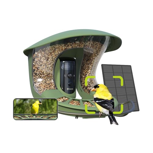 Birdfy 2 Pro Vogelfutterhaus mit 2K Dual Kamera Live Vogelbeobachtung KI Vogelerkennung ohne ABO Kabellos Futterstation mit Zeitlupenvideo Automatisch Verfolgung Echzeit Benachrichtigung