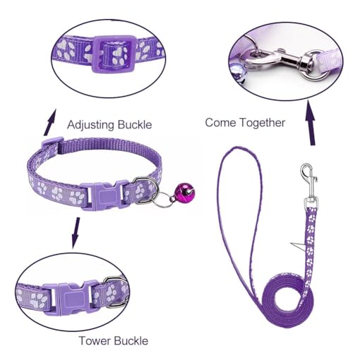 Hundehalsband und Leine Set für Kleine Hunde, Bequem Verstellbar, Welpenhalsband, Lila