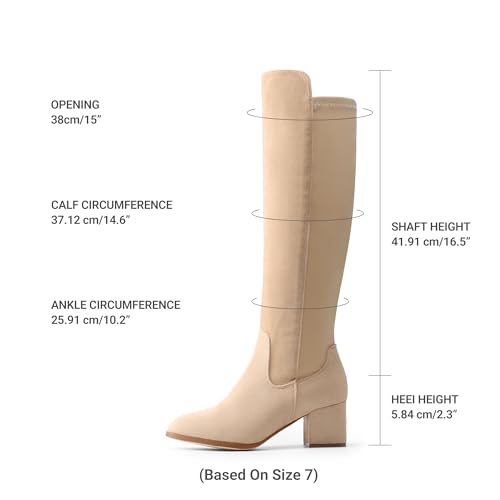 DREAM PAIRS DREAM PAIRS Women's Knee High Stretchy Fashion Boots,Size 6.5,Nude-Suede,JENNIFER-3