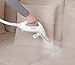 Polti Cimex Eradicator - Professional Bed Bug Steamer