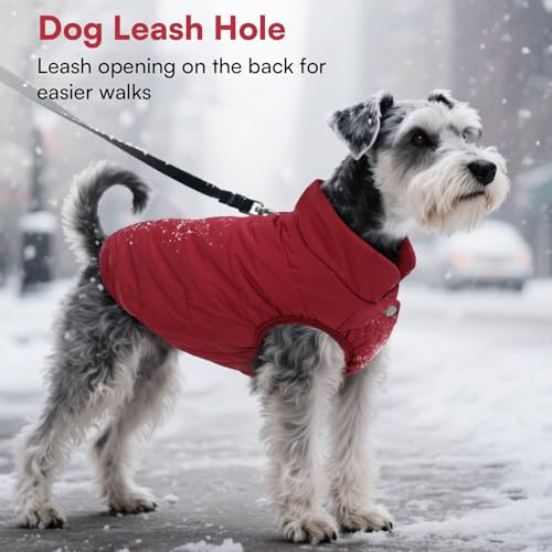 ASENKU Hundemantel für Kleine Hunde,Winddichte Hundejacke Winter wasserdichte Hundemantel mit Geschirr Fleece Warme Wintermantel Hund Kleidung für Chihuahua Dackel Französische Bulldogge XS