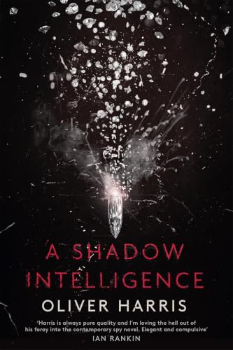 A Shadow Intelligence view 2