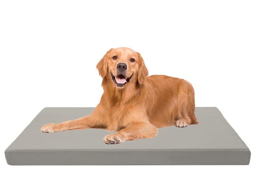 Dazzle Collection Premium Dog Bed Cushion Waterproof Cover Orthopaedic Comfort and Quality Pet Bed Memory Foam for Large Dogs, with Washable & Removable Zipped Cover (Medium (90 x 60 x 5cm), Gray)