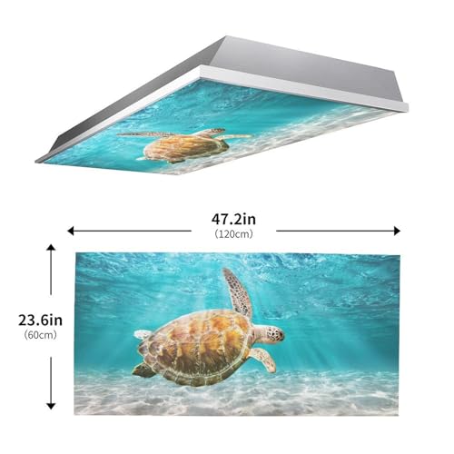 Image of 2 Pack Fluorescent Light Cover for Ceiling Light -Swimming Turtle Magnetic Light Covers Classroom, Light Filters Drop Fluorescent Light Shade Panel for Office Home School,4 x 2 Ft