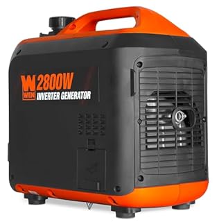 WEN 2800-Watt Dual Fuel Inverter Generator, Quiet, Portable, and Lightweight with Fuel Shut Off and CO Watchdog (DF280iX)