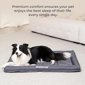 Balance Crate Pads for Medium Size Dog Bolster Dog Crate Mat Waterresistant Dog Bed Mat Kennel Pad with Nonslip Bottom  Cucciolini Doodles Balance crate pads for medium size dog bolster dog crate mat water resistant dog bed mat kennel pad with non slip bottom   cucciolini doodles