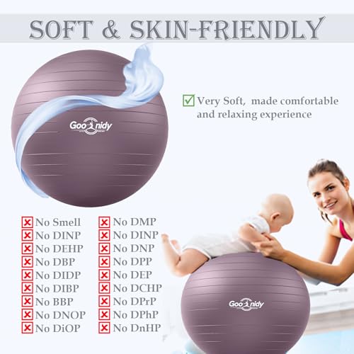 Image of Soft Exercise Ball, Yoga Pregnancy Ball Chair, Pilates Equipment with Pump