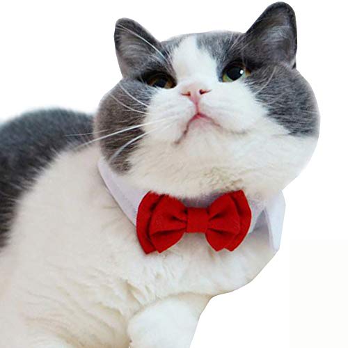 Bolbove Adjustable Formal Pet Bowtie Collar Neck Tie for Dogs & Cats (Small, Red)