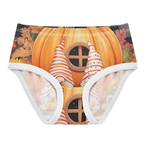 Toddler Underwear Custom 2t Cotton Panties Little Girl Flower Kids Undies Briefs Cute Autumn Gnomes Pumpkin