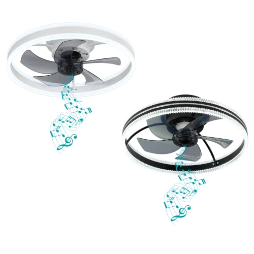 Dewshrimp Flush Mount Ceiling Fan With Lights，Ceiling Fan With Lights And Bluetooth Speaker #TOP4