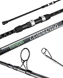 LITTMA Surf Spinning Rod Surf Rods Saltwater 12ft 9ft 10ft 11ft Graphite Surf Rod Surf Casting Rod Surf Fishing Rod Surf Rod Saltwater Surf Travel Rod Surf Rod Barra de Surf Surf Rod