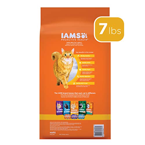 IAMS PROACTIVE HEALTH Adult Healthy Dry Cat Food with Salmon Cat Kibble, 7 lb. Bag - Image 3