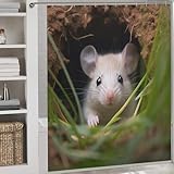 PAZZK Maus Duschvorhänge, Duschvorhang Duschvorhang Aus Polyester Wasserabweisend Shower Curtain Mit 12 Duschvorhangringen 72x72Inch (183x183cm)