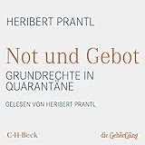 grundrechte deutschland unterrichtsmaterial  Not und Gebot: Grundrechte in Quarantäne