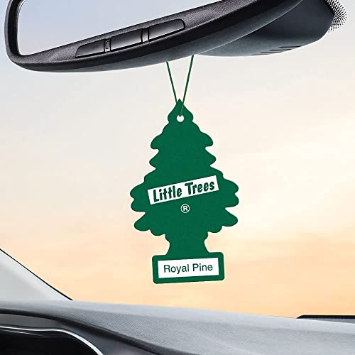 Image of LITTLE TREES Car Air Freshener | Hanging Paper Tree for Home or Car | Royal Pine | 12 Pack