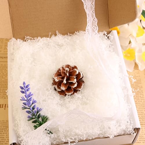 caiyjhao Artificial Green Moss is Used for Potted Plant Pavement, Vase Filling, Wedding Table Decoration, Glass Fish Tank, Model Landscape, Craft Moss and Fairy Garden DIY (White 3.5oz)