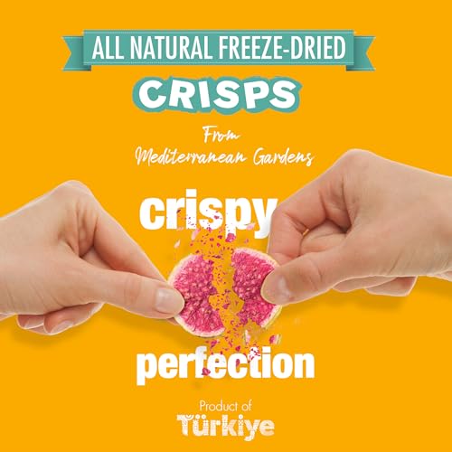 MAG Freeze-Dried Snacks Candy Strawberries Fuji Apple Bananas Apples Cinnamon Chips Mix Set All Natural And Fresh Fruit Frozen Slices Cruncy Fruits Freeze-Dried Travel Snack Pack of 8 4.96 Ounce Set - Thumbnail 5
