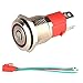 GUUZI 12V-24V/15A Interrupteur à Bouton-Poussoir à Verrouillage NO Lumière LED Rouge Etanche Illuminé 16mm Bouton-Poussoir de Démarrage en Métal avec Fil de Prise de Courant