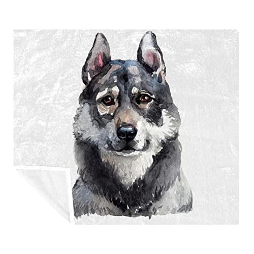 Couverture pour chien adulte et enfants Jamthund contre les poils sur lit et canapé - 2