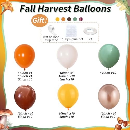 Image of Fall Balloon Garland Arch Kit Burnt Orange Little Pumpkin Party Decorations | 124pcs Terracotta Coffee Sand White & Sage Green Metallic Gold Thanksgiving Balloon Autumn Harvest Birthday Baby Shower Decor