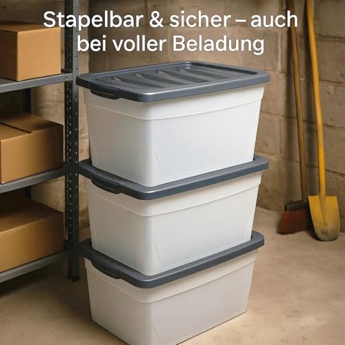 BigDean 3x 60 L Aufbewahrungsbox mit Deckel groß Budget Line Plastikbox mit Deckel