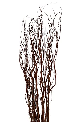 Green Floral Crafts Curly Willow Branches (Gold, 4-5 Feet)