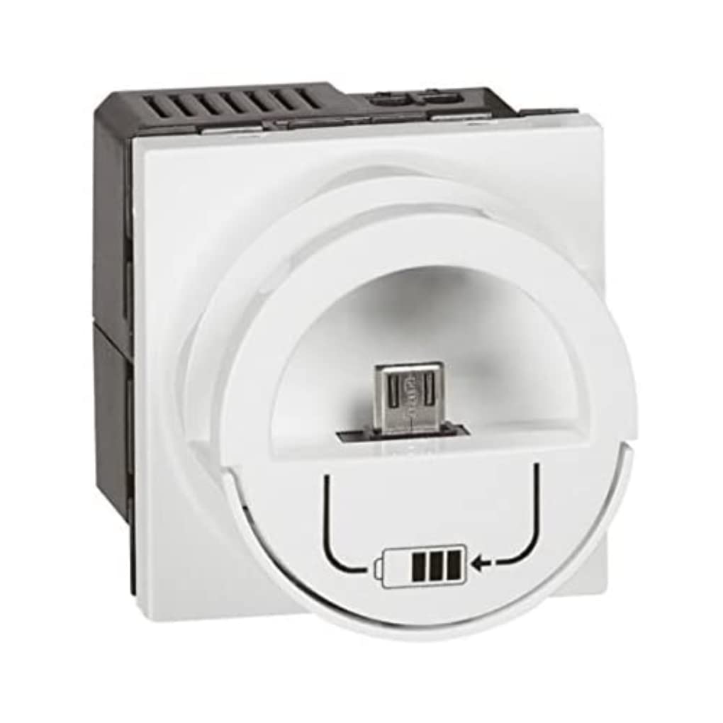 LEGRAND LEG-077596 Prise Connectée USB C Encastrable Murale