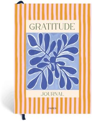 Papier Stay Grounded Gratitude Journal - Colorful Hardback