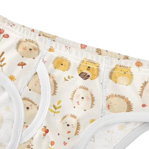 KLL Cute Watercolor Hedgehogs Boys Toddler Cotton Athletic Underwear Breathable Children Undies4