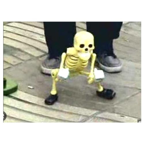 school thingy cover art