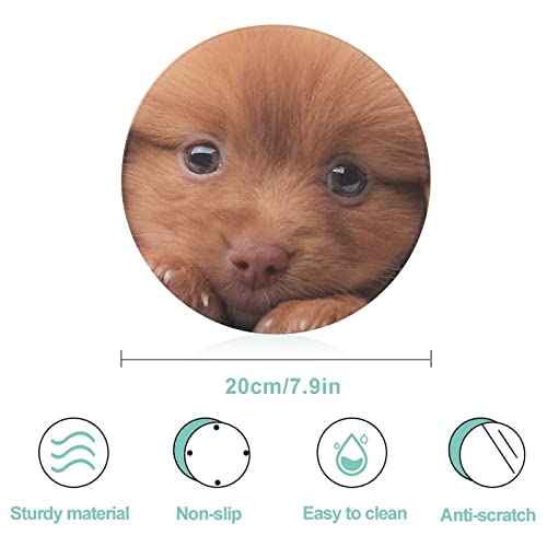Planche à découper aliments 20 cm style peluche de chien - 3