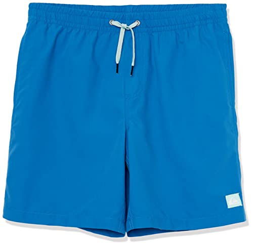 Quiksilver Boys Everyday Youth 15 Volley Swim Trunk Boardshort