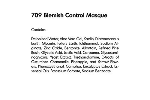 Raya Blemish Control Masque (709) | European Facial Treatment Mask For Oily And Break-Out Skin | Helps Calm Inflammations And Minimize Pores #TOP5
