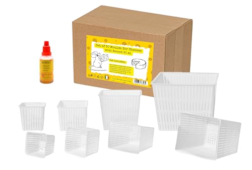 AlcoFermBrew Lot de 30 moules à fromage - Moule à fromage carré, Moule à fromage en plastique pour fromage à pâte molle, Présure