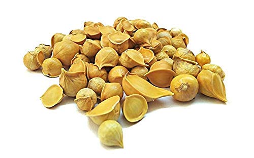 Image of Obbi Fresh premium Kashmiri Lehsun Snow Mountain Garlic /kashmiri garlic (250)