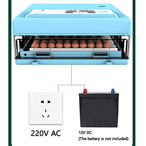 Vollautomatischer Inkubator 36-504 Eier, Inkubator mit LED-Temperaturanzeige und Präzisem Temperatursensor, Temperatur… – Bild 4