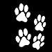 Finest Folia 12er Set Hundepfoten je 6x6 cm Pfoten Pfötchen Hund Katze Aufkleber Sticker für Auto Motorrad Wand Laptop Möbel (K015 WeißGlanz)