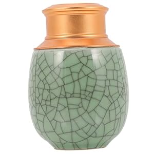 Dressoos E61951 Haustierurne Keramikdesign Grün