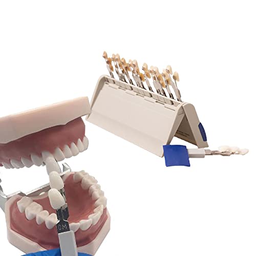 Image of Teeth Whitening Shade Porcelain 29 Colors Set Tooth Bleaching Shade Chart Material Equipment Oral Care